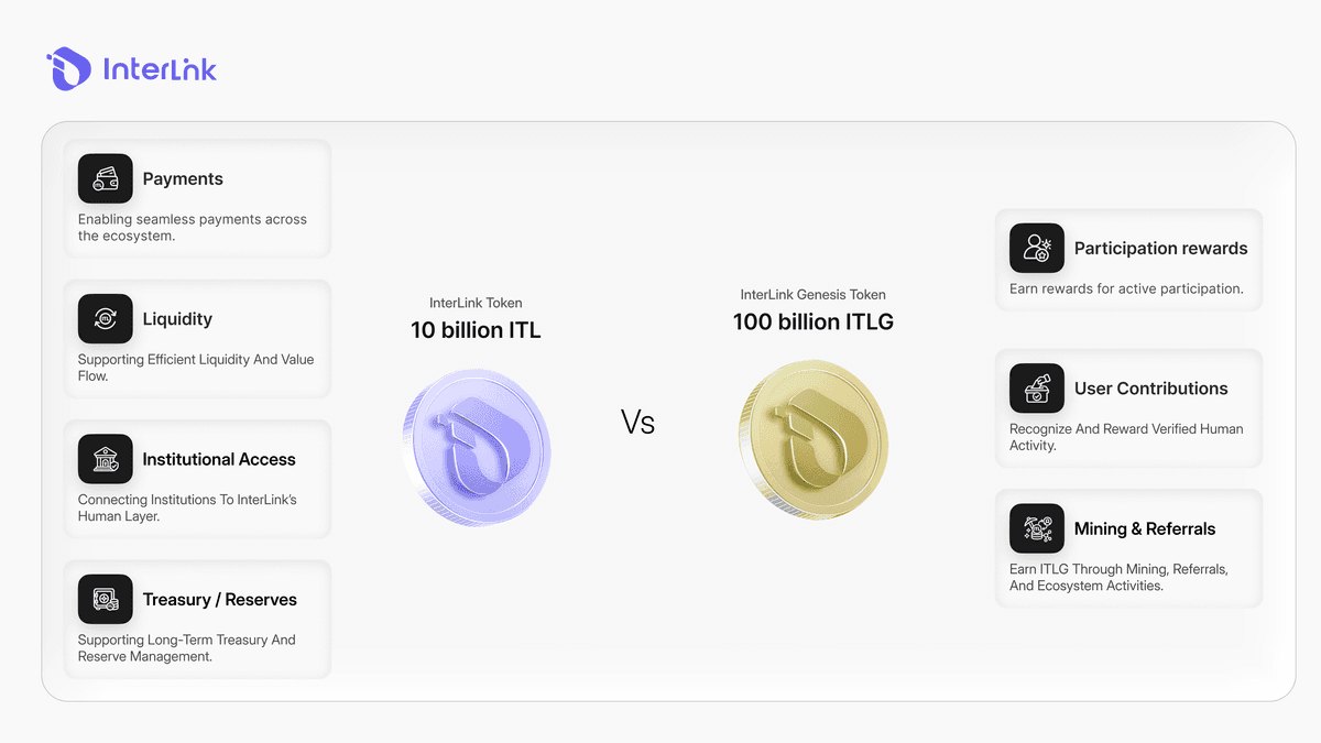  Flowchart showing the symbiotic relationship between ITLG and ITL: users earn ITLG, stake ITLG to earn ITL, and use ITL for payments and services.