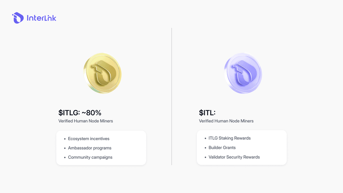 InterLink token distribution chart showing 80% of ITLG allocated to verified Human Node miners